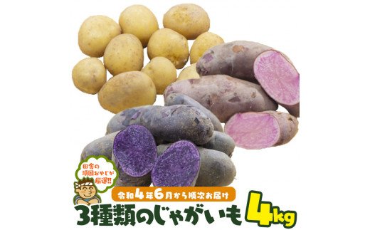 ３種類のじゃがいも4kgセット【令和4年6月から順次お届け】