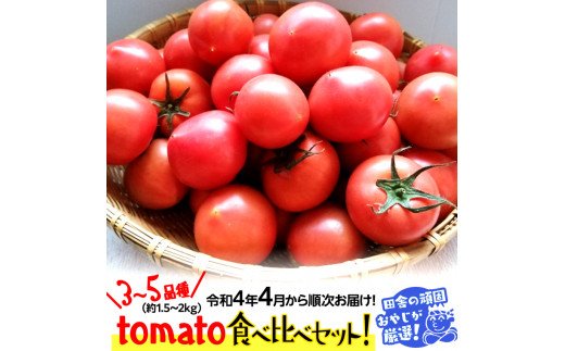 tomato食べ比べセット3～5種類・約1.52kg【令和4年4月から順次