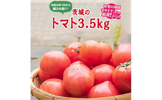 茨城のトマト3.5kgセット【令和4年1月から順次発送】田舎の