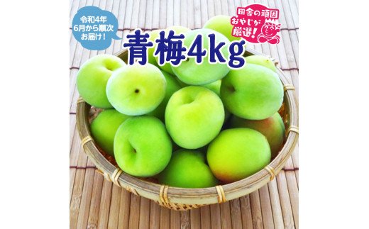 青梅4kg【令和4年6月から順次発送】田舎の頑固おやじが厳選