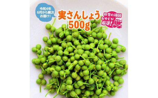 実さんしょう500g【令和4年6月から順次発送】田舎の頑固お