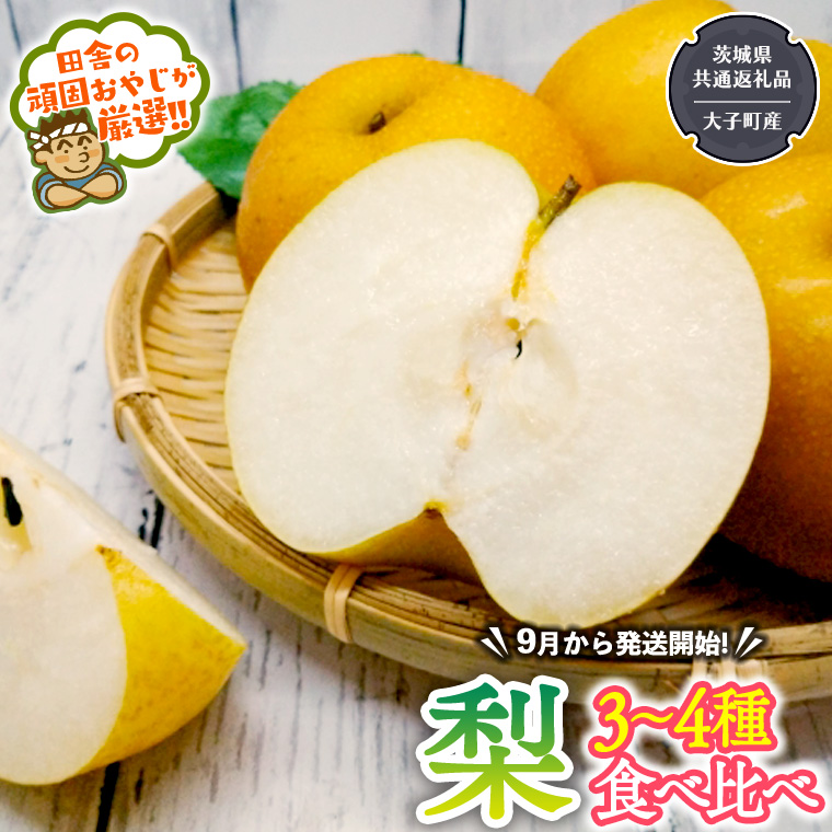 梨 食べ比べ 3～4種類【2025年9月より発送開始】（茨城県共