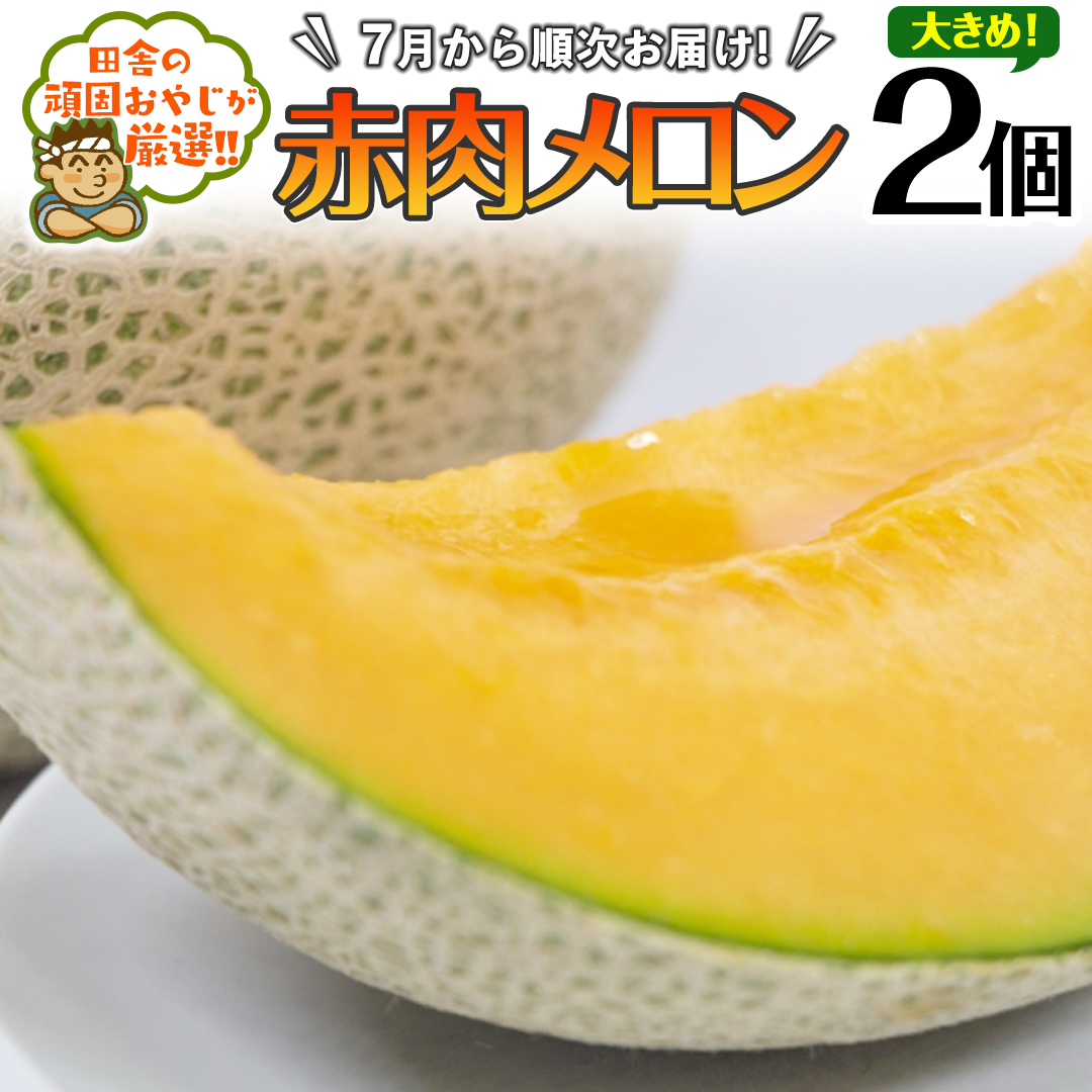 大きめ 赤肉 メロン 2個【2025年7月発送開始】田舎の頑固お