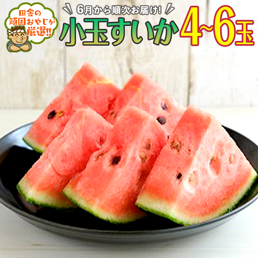 小玉すいか4～6玉【2025年6月より発送開始】田舎の頑固おや