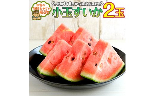 小玉すいか2玉【令和4年6月から順次お届け】田舎の頑固お