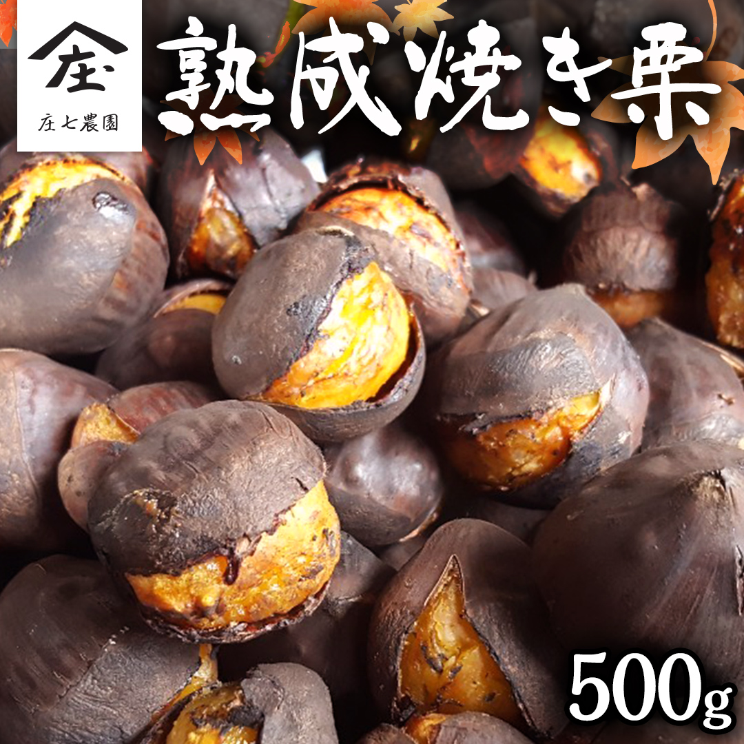 庄七農園 限定 熟成 焼き栗 500g 【 10月から順次お届け 】 栗