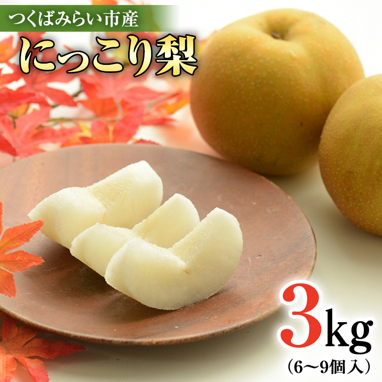 にっこり梨 3kg 【10月発送開始】 梨 ナシ なし 果物 フルー