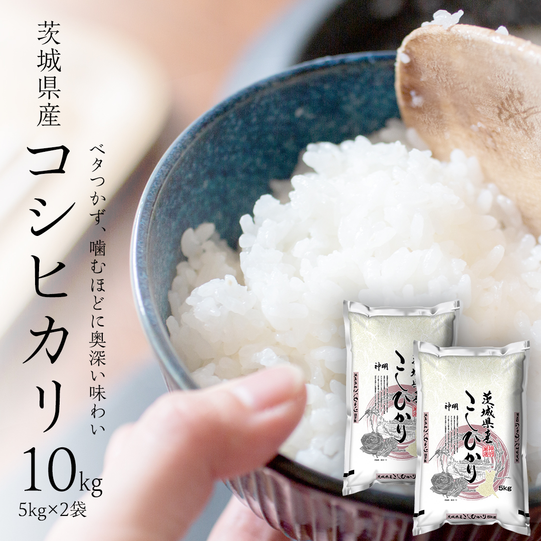 【 新米 】 令和7年産 茨城 こしひかり 10kg（ 5kg × 2本 ） 精