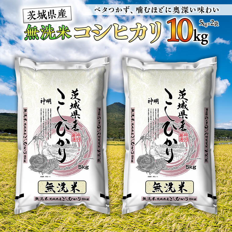 【 新米 】 令和7年産 無洗米 茨城 こしひかり 10kg（ 無洗米