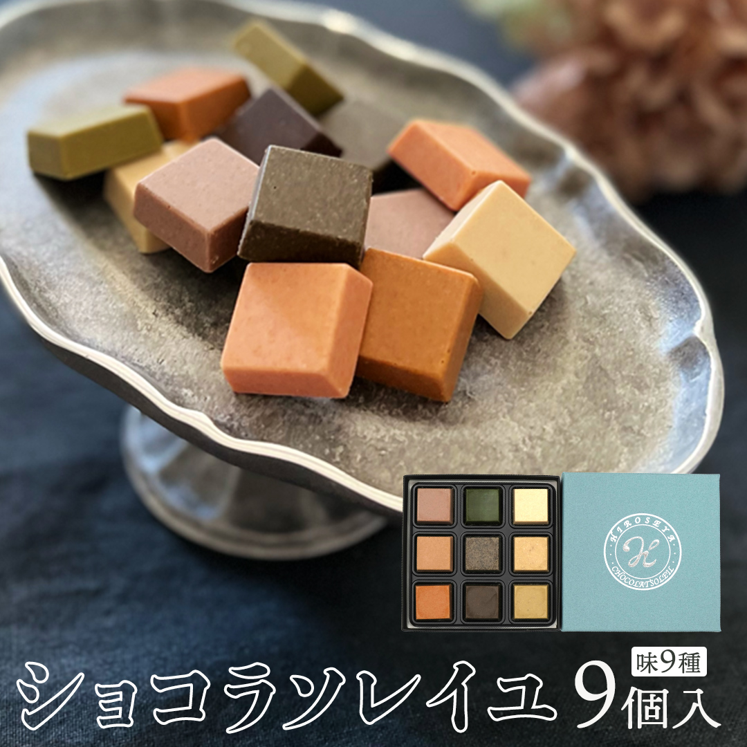 ショコラソレイユ 9種 チョコレート チョコ スイーツ デザ