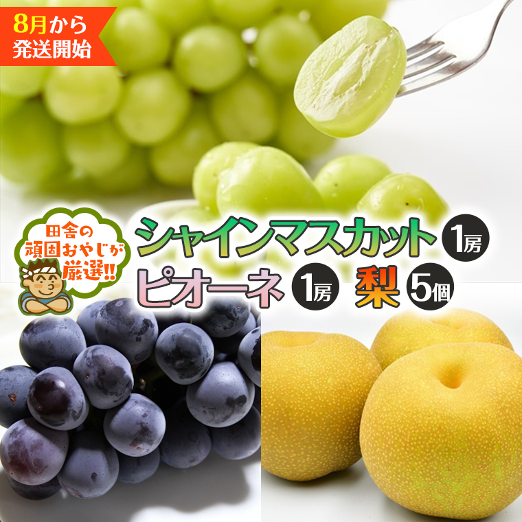 シャインマスカット1房 ピオーネ1房 梨 5個【8月より発送開