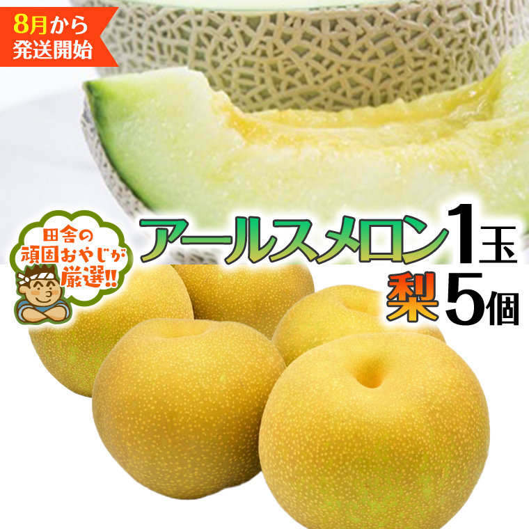 アールスメロン 1個 梨5個 【2025年8月発送開始】田舎の頑固