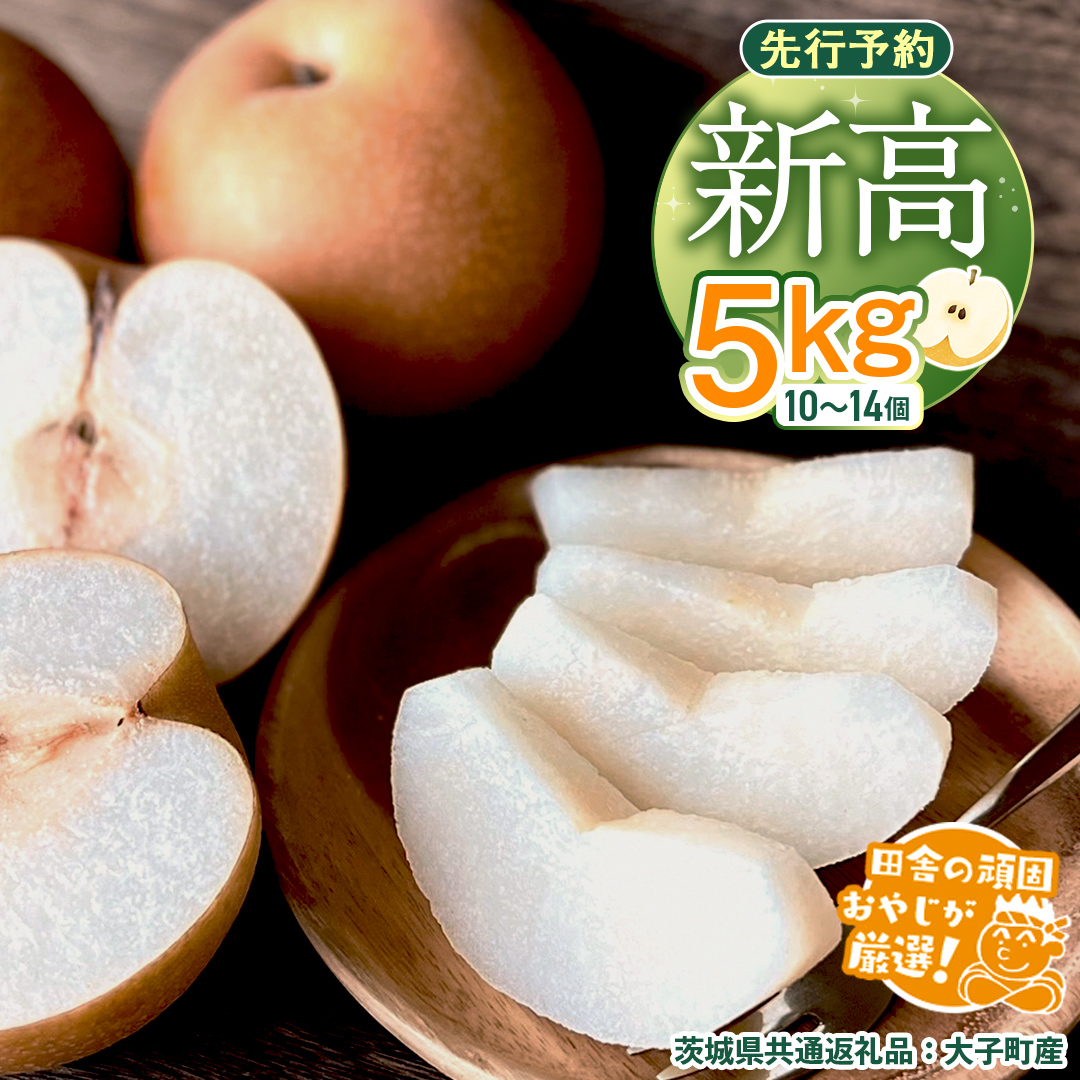 梨 新高 5kg（10?14個）【2025年10月より発送開始】（茨城県