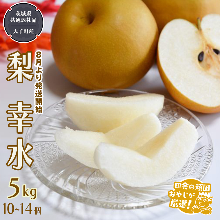 梨 幸水 5kg 10～14個【2025年8月より発送開始】（茨城県共通