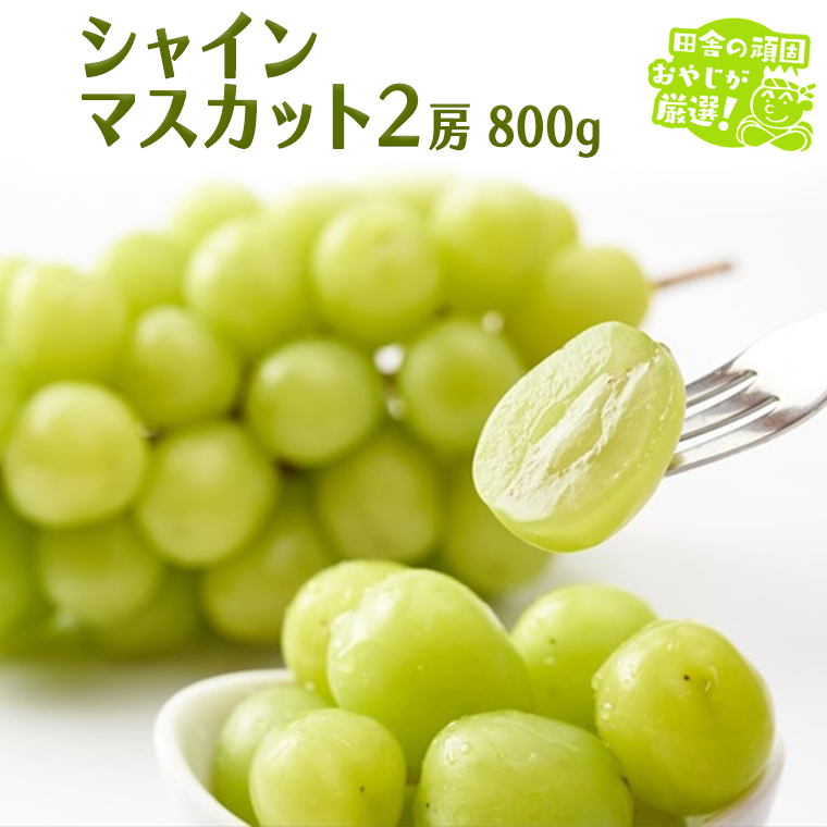 シャインマスカット 800g 2房 【9月より発送開始】田舎の頑
