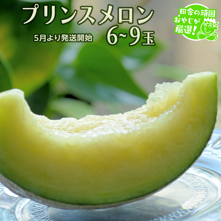 プリンスメロン 6～9個 【5月発送開始】 田舎の頑固おやじ
