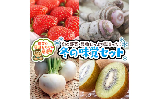 冬の味覚（野菜・果物）厳選セット【1月より発送開始】田