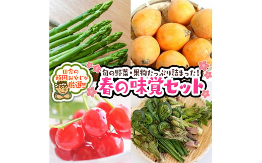 春の味覚（野菜・果物）厳選セット【令和5年4月より発送開