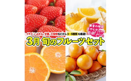 旬のフルーツセット3月号 田舎の頑固おやじが厳選！ [BI80-NT