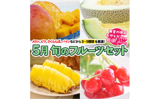旬のフルーツセット5月号 田舎の頑固おやじが厳選！ [BI82-NT