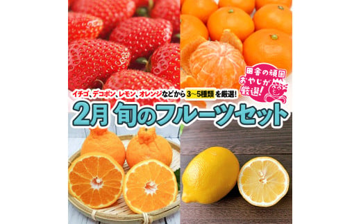 旬のフルーツセット 2月号【令和7年2月より発送開始】 田舎