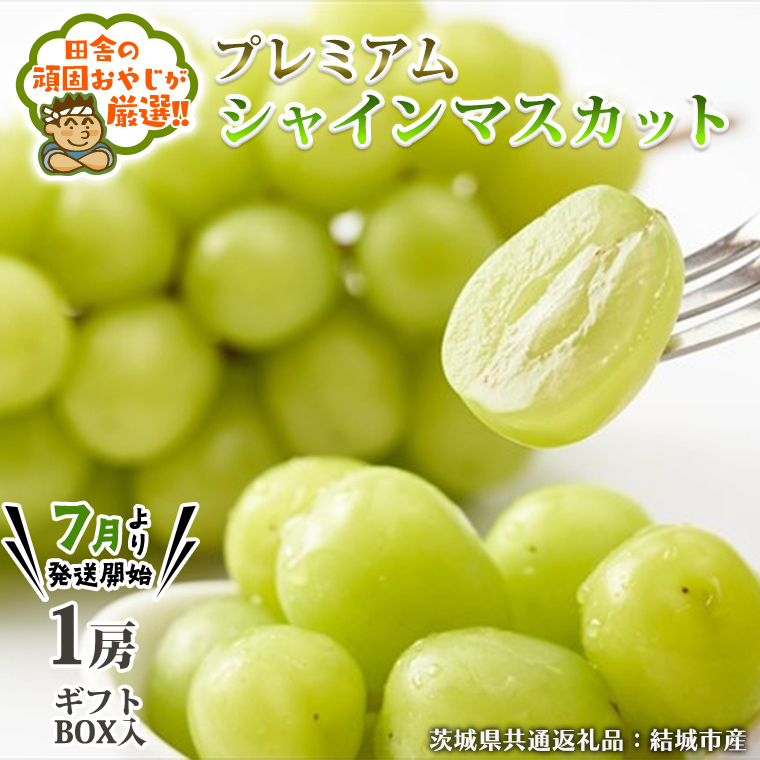 プレミアム シャインマスカット 1房 ギフトBOX入り 【2025年7