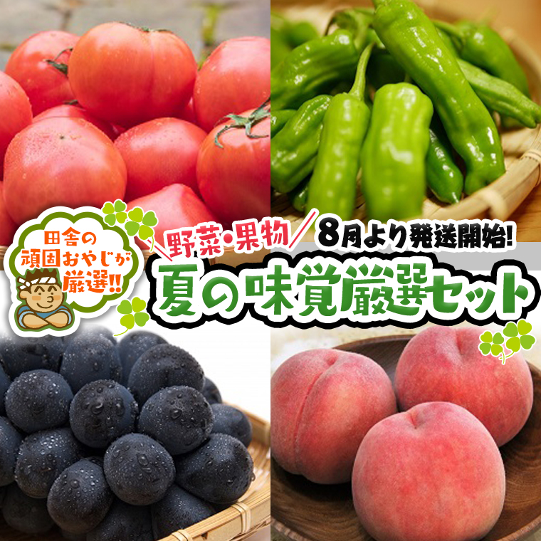 夏の味覚（野菜・果物）厳選セット【8月より発送開始】田