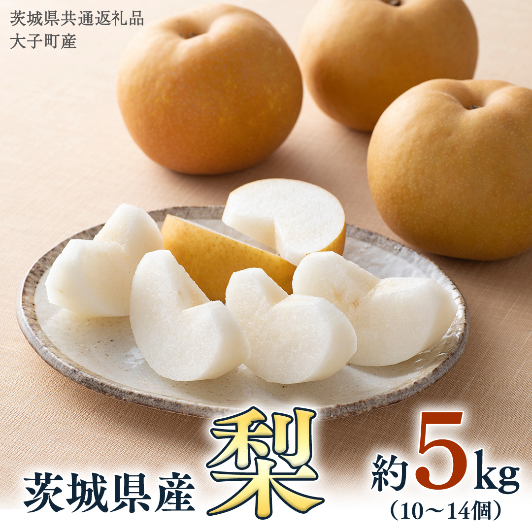 梨 10～14個【2025年9月より発送開始】（茨城県共通返礼品 [
