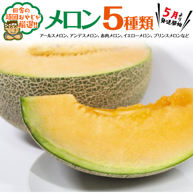 メロン 5種 だっぺセット【5月発送開始】田舎の頑固おやじ