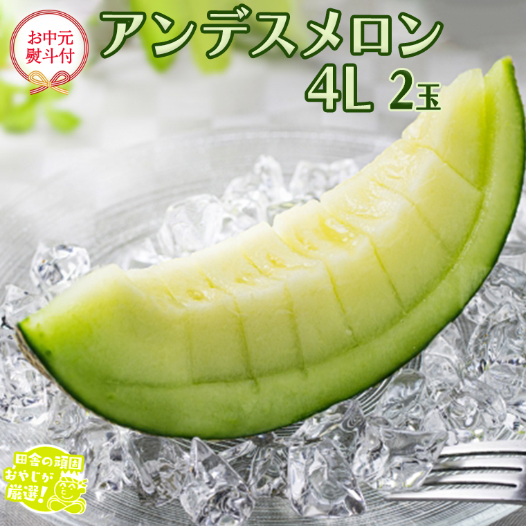 【お中元 熨斗付】 アンデスメロン 4L×2個 【令和6年7月より