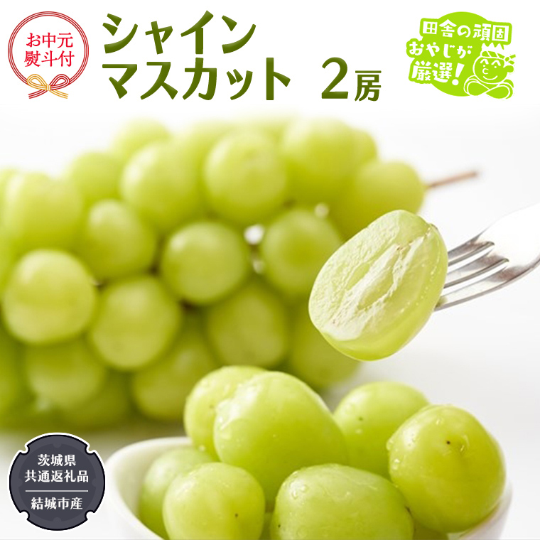 【お中元 熨斗付】 シャインマスカット 2房 【2025年7月から