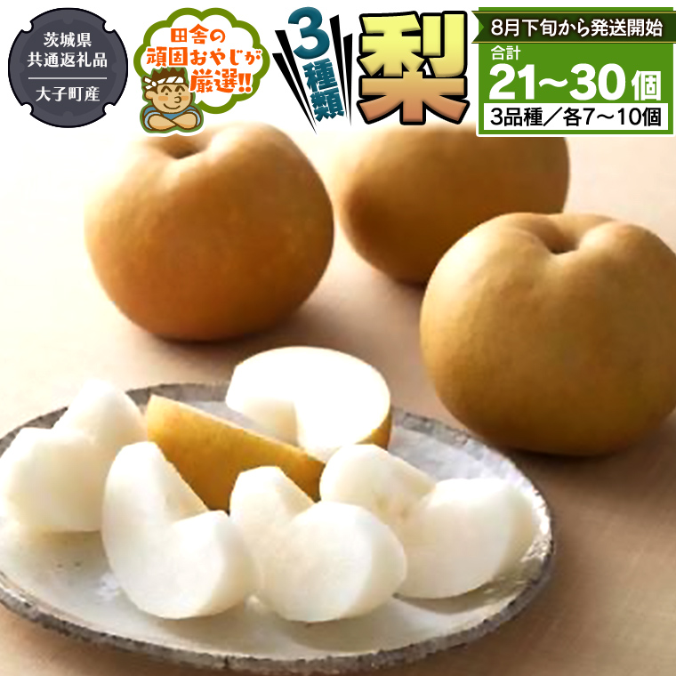 梨 3種 セット 【2025年8月下旬より発送開始】 （茨城県共通