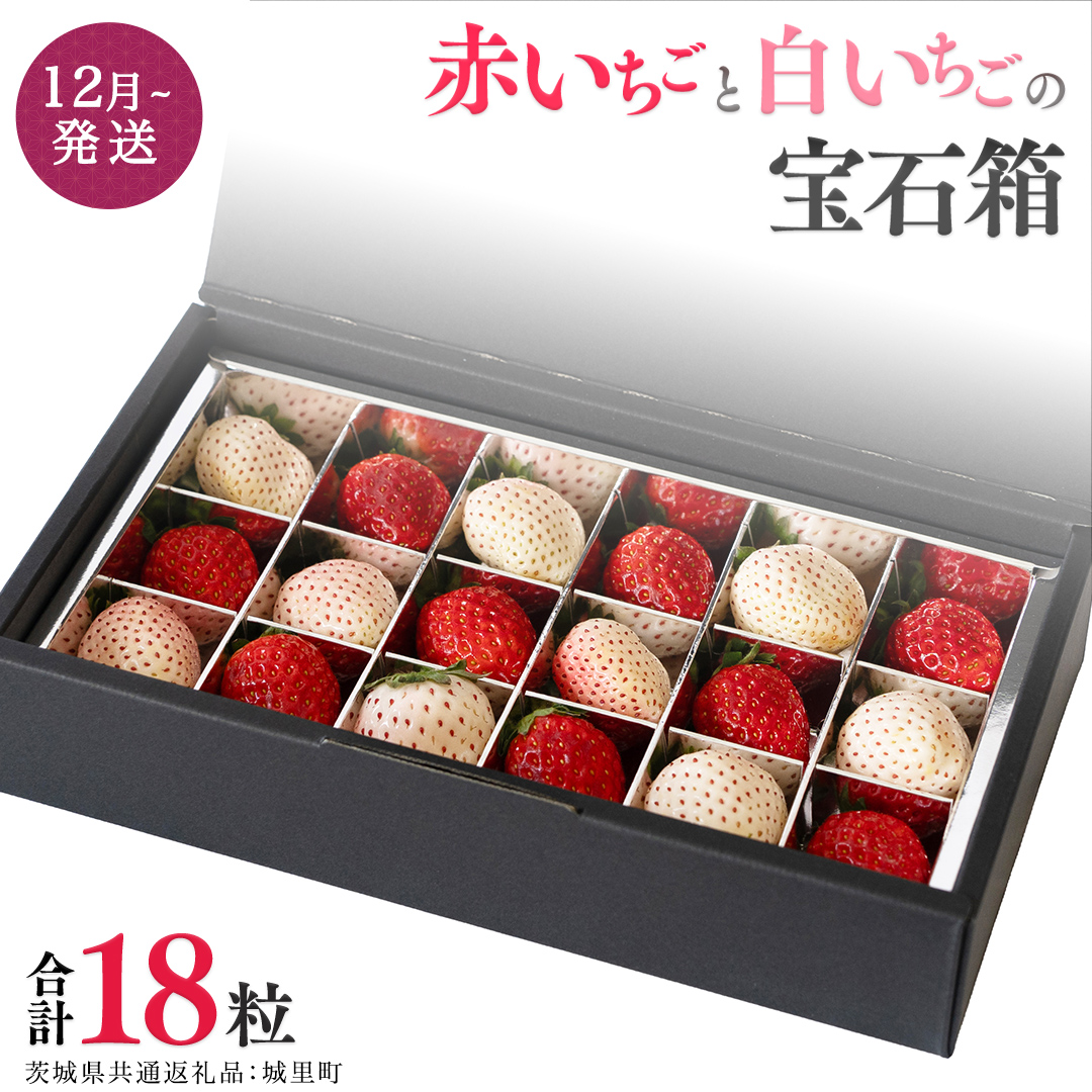 赤いちごと白いちごの宝石箱 18粒 【12月から発送開始】（
