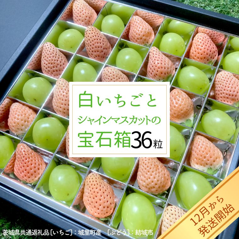 白いちご と シャインマスカット の 宝石箱 36粒 【12月から