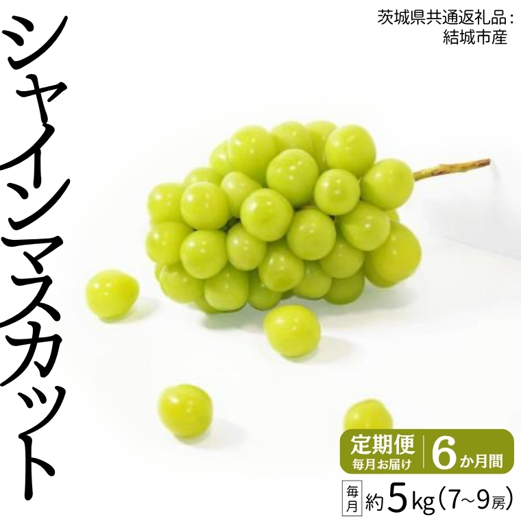 【定期便】 シャインマスカット 7～9房(約5kg) × ６か月連続