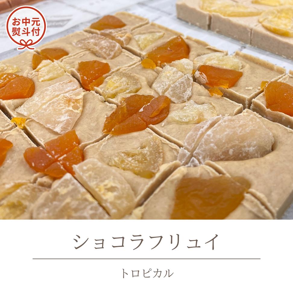 【お中元熨斗付】 ショコラフリュイ トロピカル チョコレ