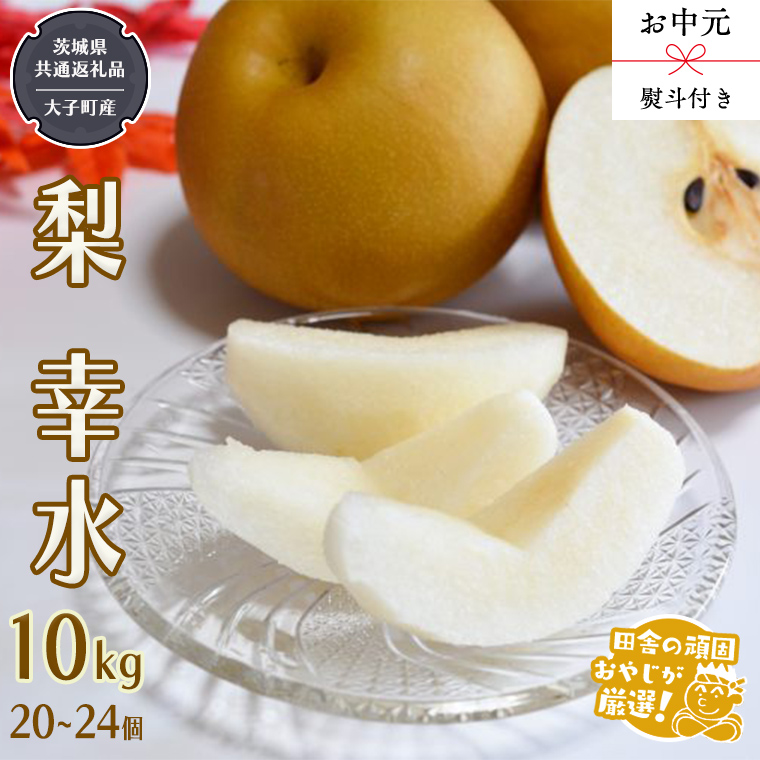 【 お中元 熨斗付 】幸水10kg （20～24個） 【2025年8月より発