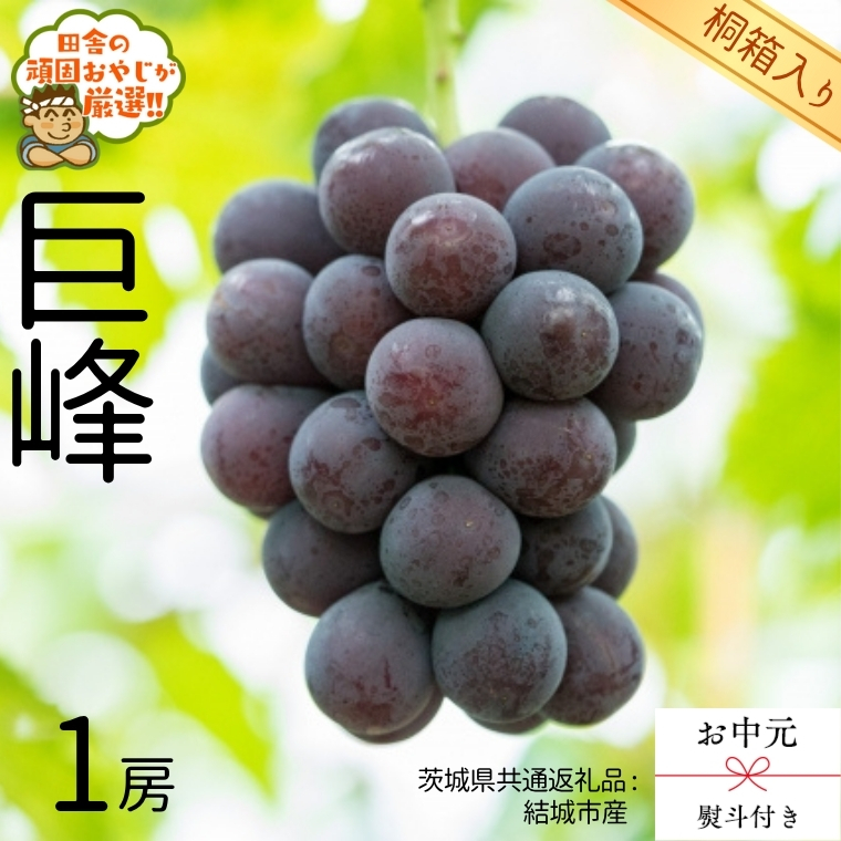 【 お中元 熨斗 付 】【 桐箱入り 】巨峰1房  【2025年8月より