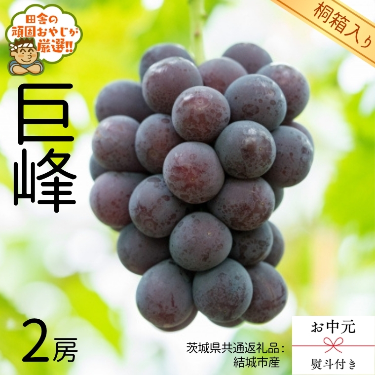 【 お中元 熨斗 付 】【 桐箱入り 】 巨峰2房  【2025年8月よ