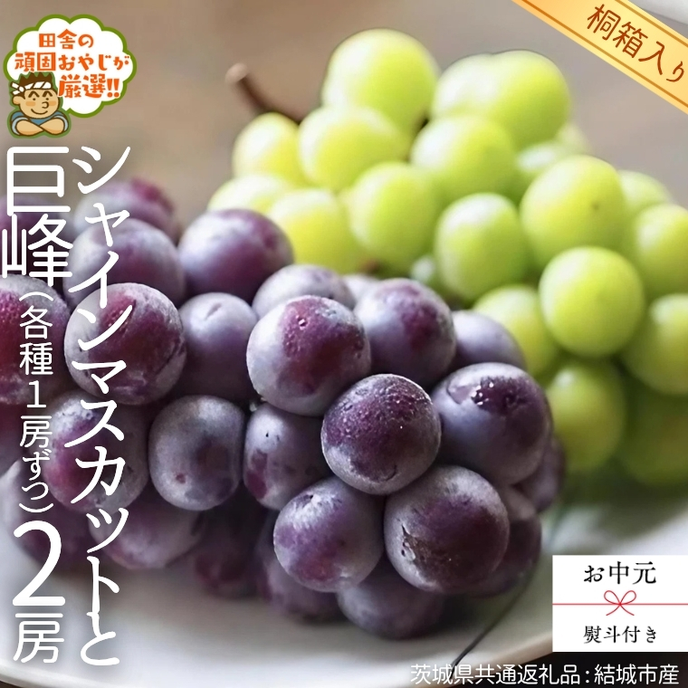 【 お中元 熨斗 付 】【 桐箱入り 】 シャインマスカットと