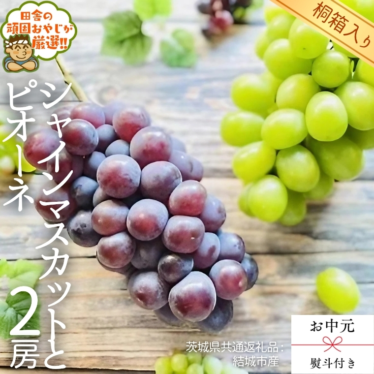 【 お中元 熨斗 付 】【 桐箱入り 】 シャインマスカットと