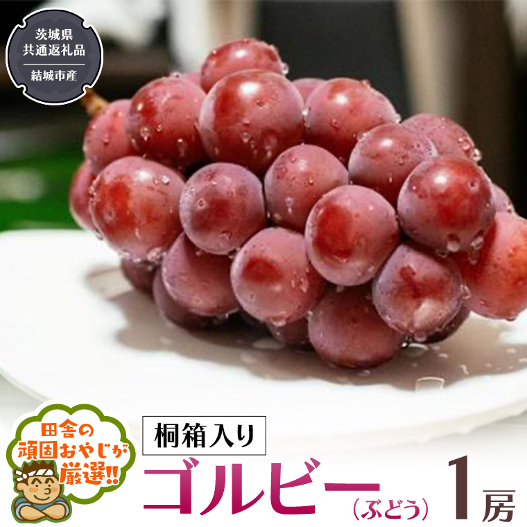 【 桐箱入り 】ゴルビー （ ぶどう ） 1房 【2025年9月から発