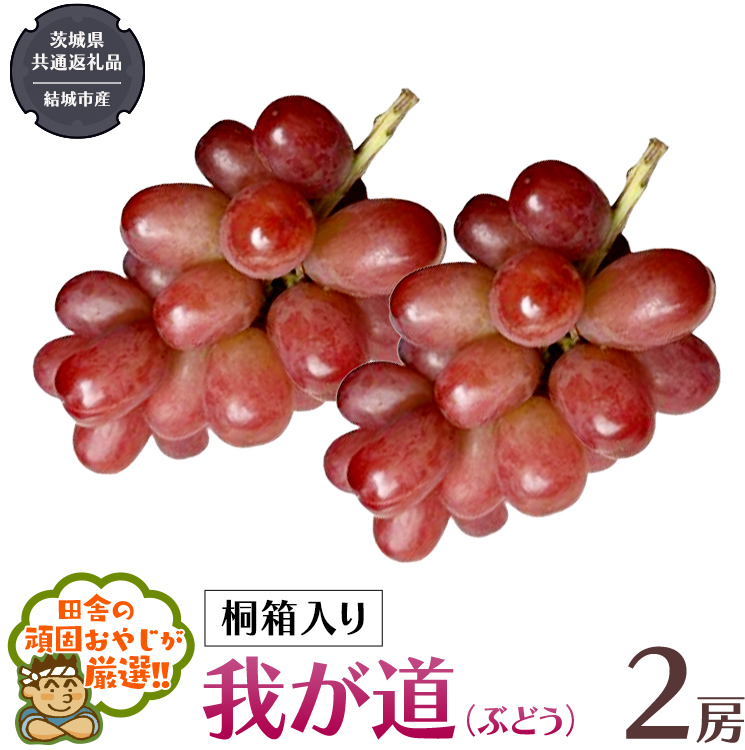 【 桐箱入り 】我が道 （ ぶどう ） 2房 【2025年9月から発送