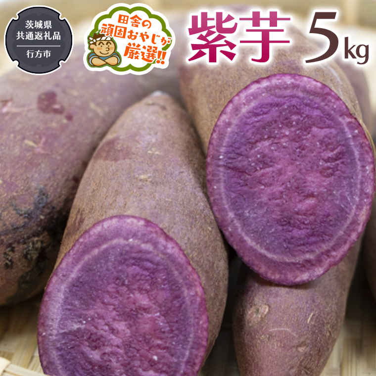 紫芋 5kg 【令和6年12月から発送開始】（茨城県共通返礼品 [