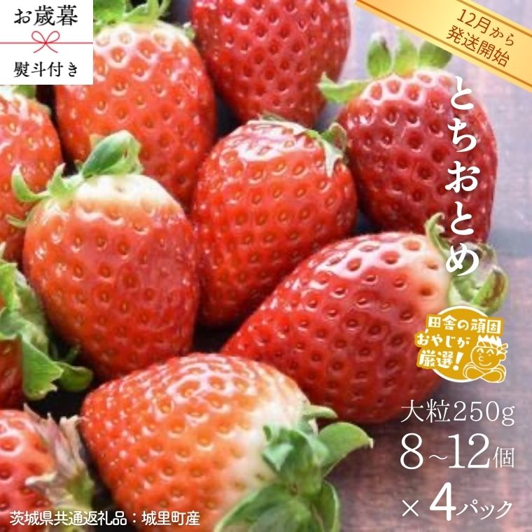 【 お歳暮 熨斗付 】 とちおとめ 〈いちご〉 大粒 250g（8～12