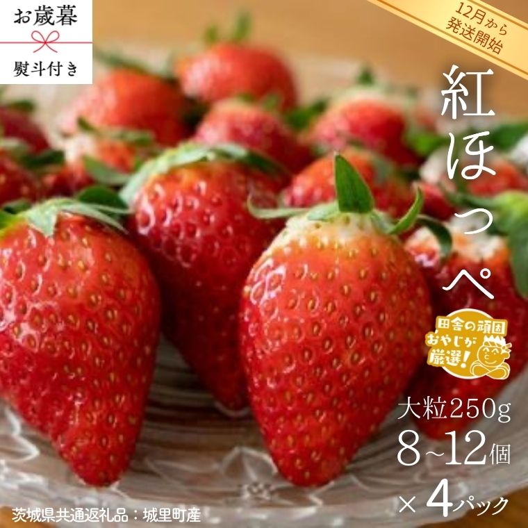 【 お歳暮 熨斗付 】紅ほっぺ〈いちご〉 大粒 250g（8～12粒