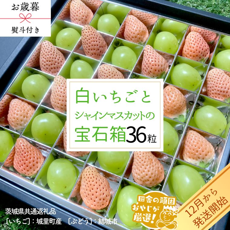 【 お歳暮 熨斗付 】シャインマスカットと白いちごの宝石