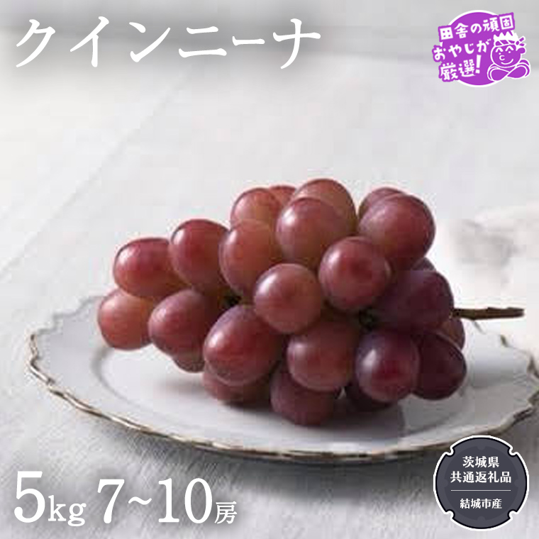 クインニーナ 5kg（7?10房）【2025年9月より発送開始】（茨