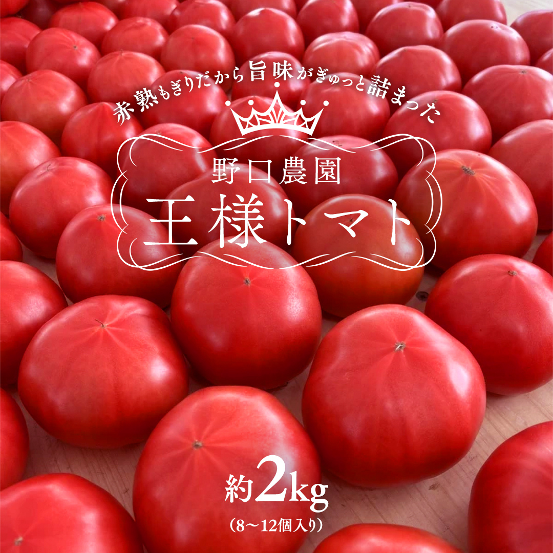 野口農園！ 王様トマト 約2kg ( 8～12個入り )！ ごほうび・麗