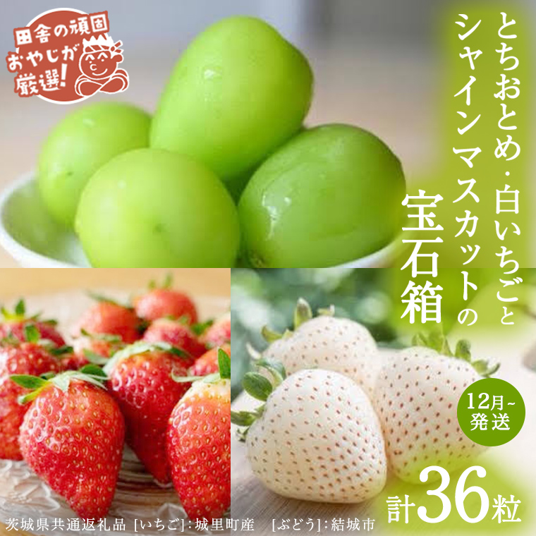 「粒々いちご18粒」とちおとめと白いちごとシャインマスカ